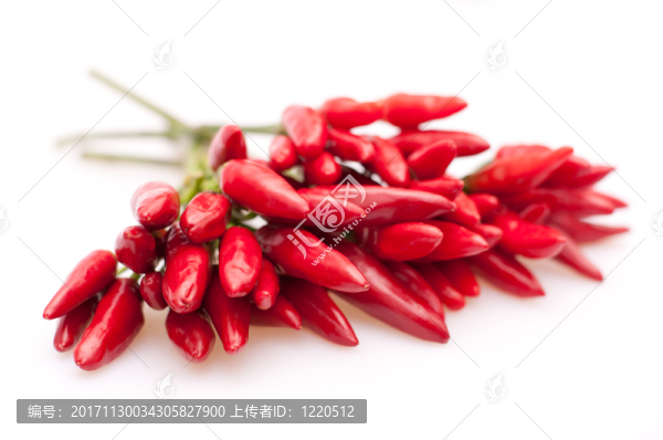 紅辣椒