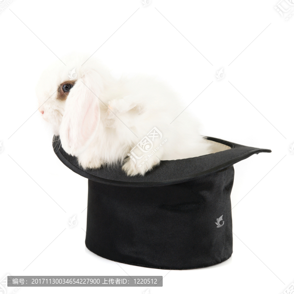 表明