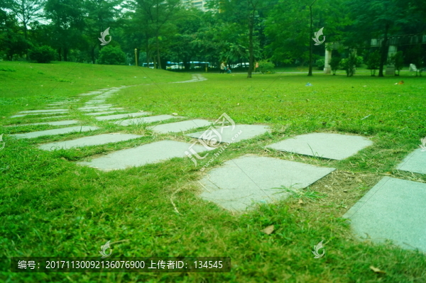 綠色草坪