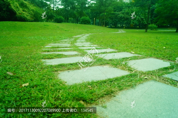 綠色草坪