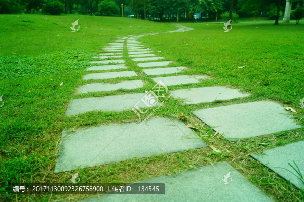 綠色草坪