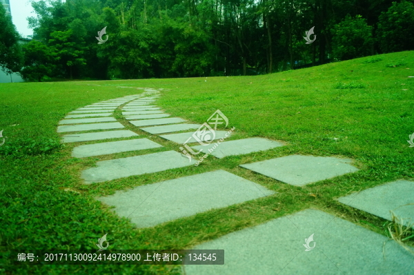 綠色草坪