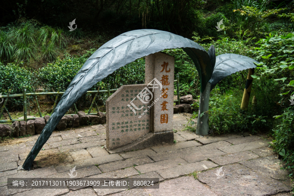 武夷山崖刻