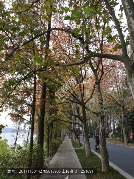 秋天景色