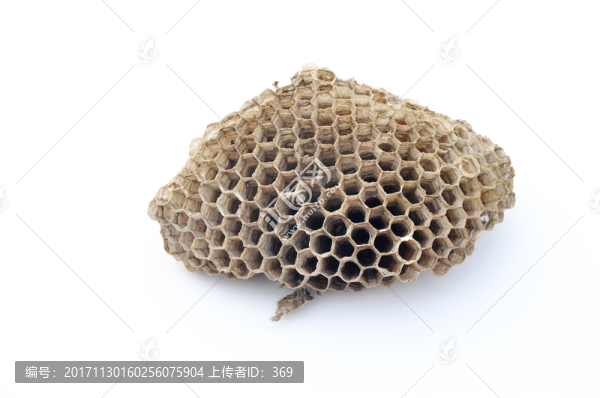 蜂窩