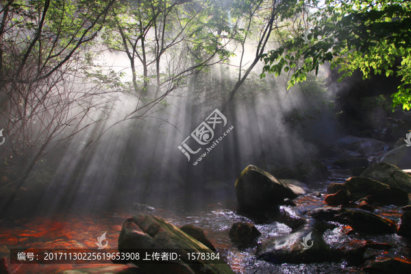小溪里的陽光