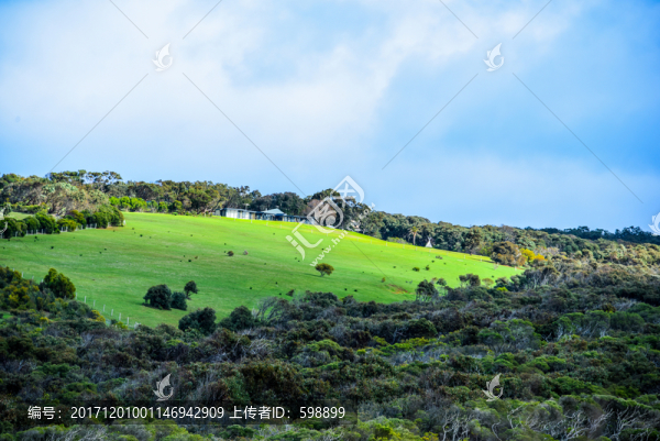 陽光草地山坡