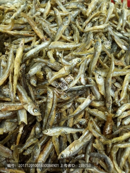 小干魚