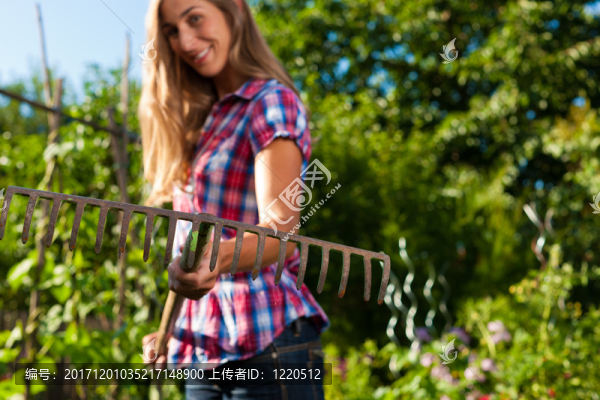 在夏天園藝,-,耙子的女人