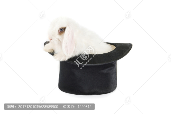 表明