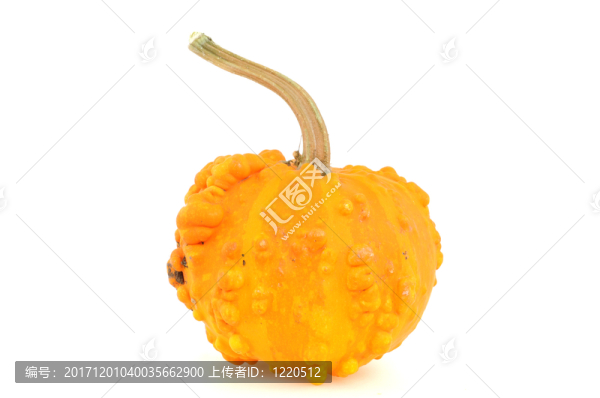 南瓜