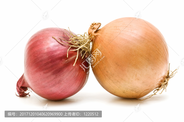 大蒜