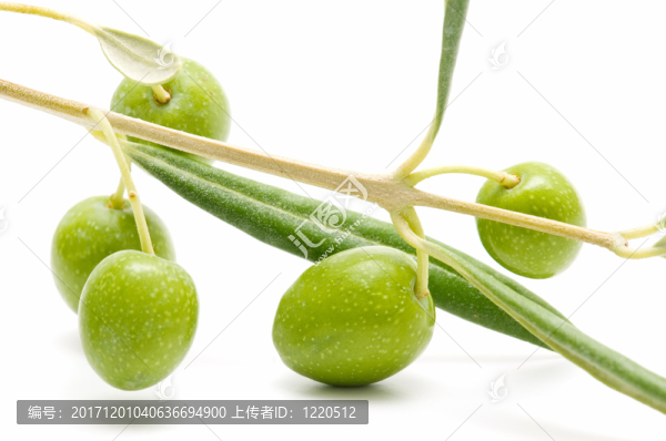 食物