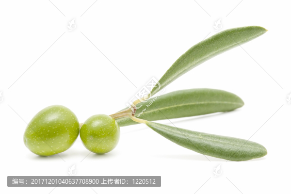 食物