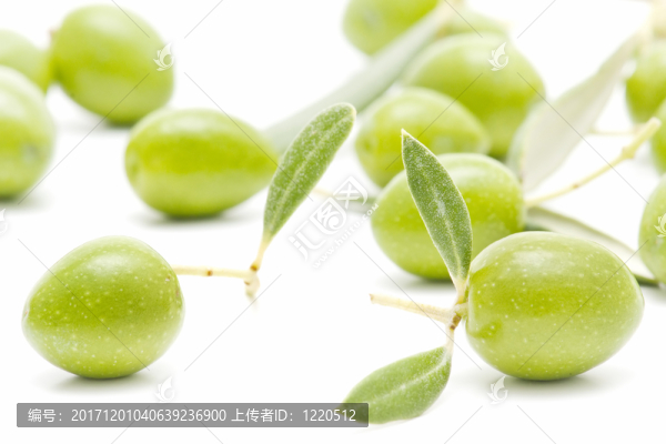 食物