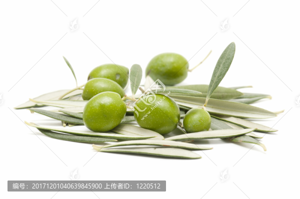 食物