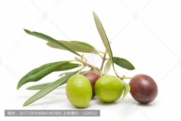 食物