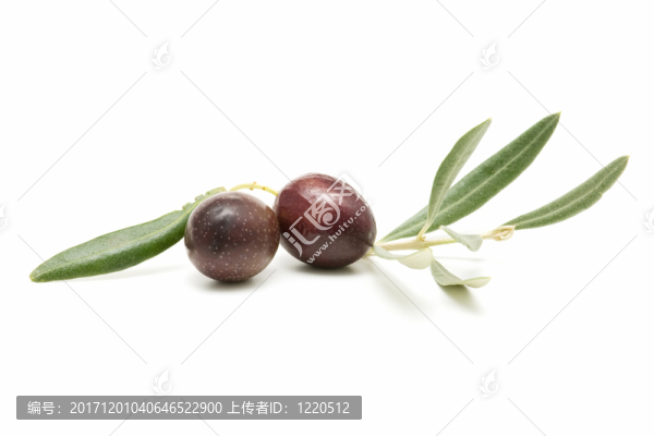 食物