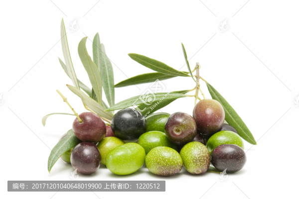 食物