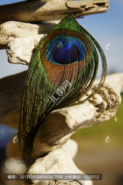 幻想