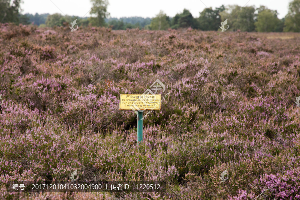 fischbeker,heide,,-,,segelflugplatz