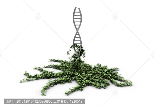 科學