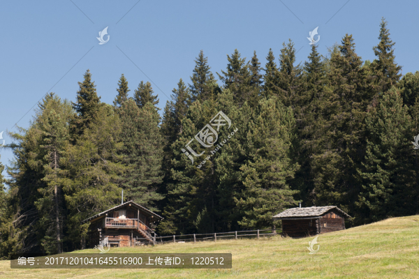 山