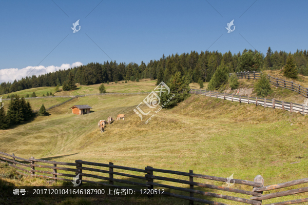 山