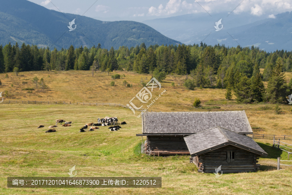 山
