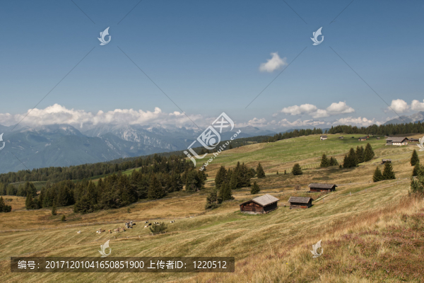 山