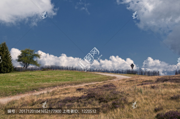 山