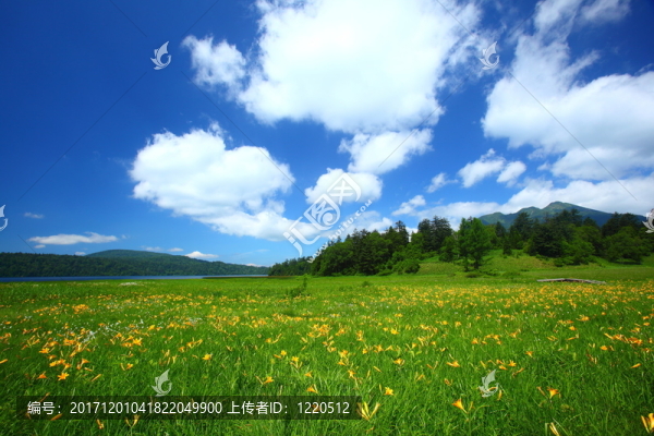 環(huán)境