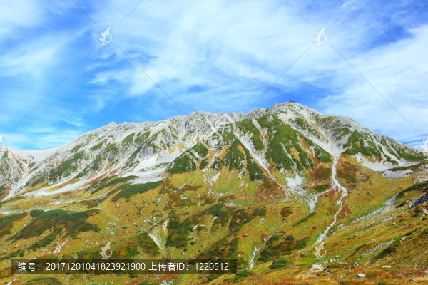 旅行