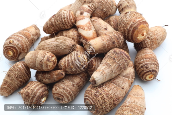 食物