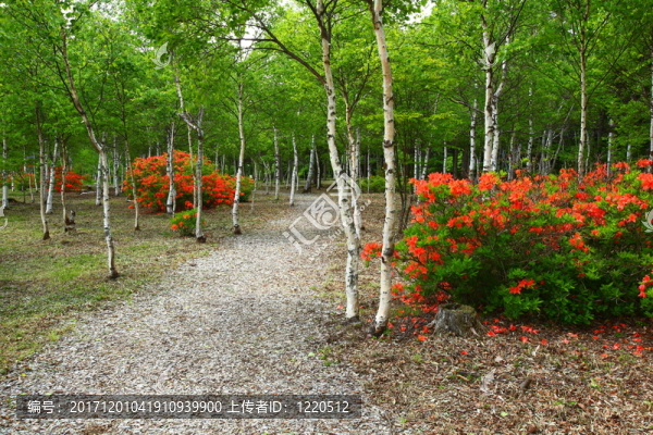 花