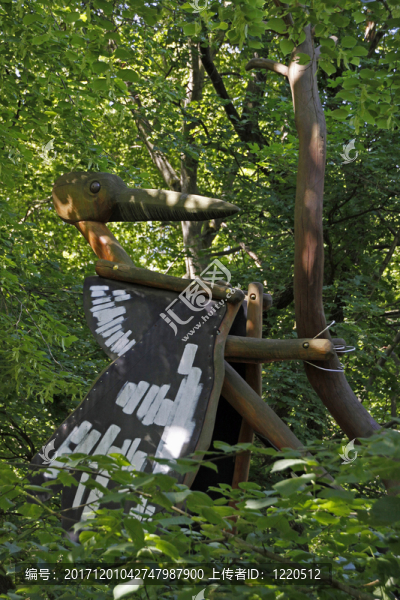 在hainich國家公園的baumkronenpfad