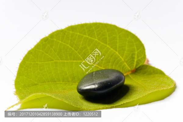 在綠色葉子的溫泉石頭