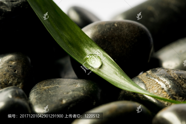 石頭與葉和滴