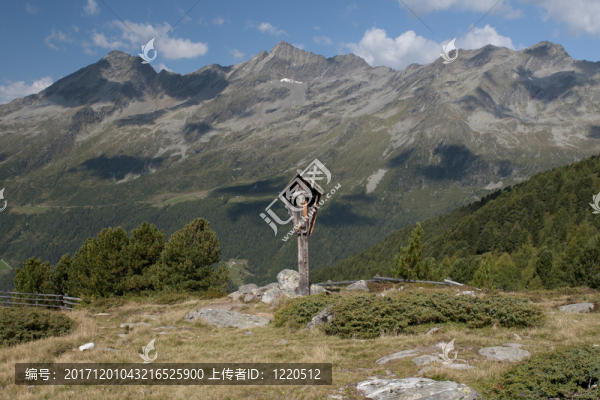 山