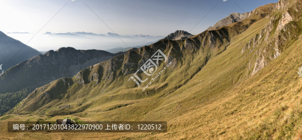 山