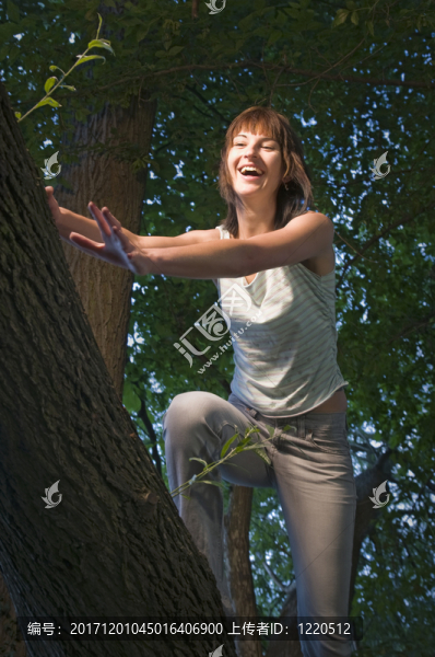 年輕的女士，落在樹上