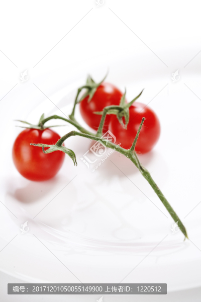 食物