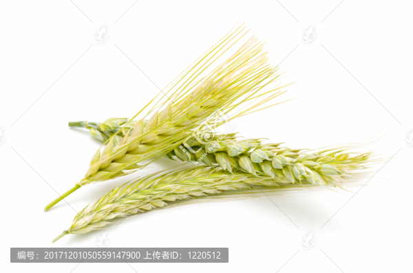 農(nóng)業(yè)