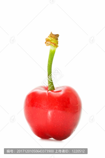 食物