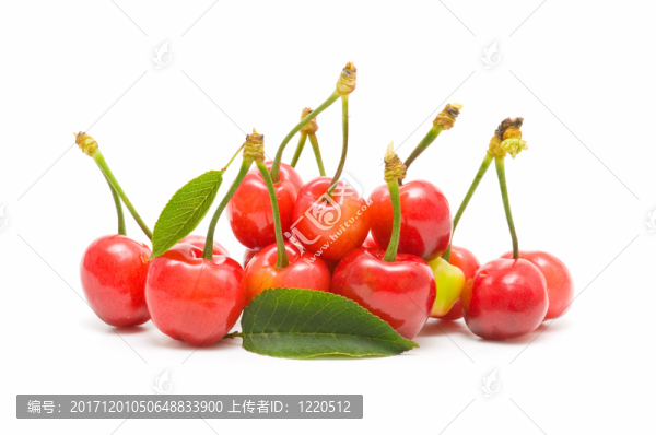 食物