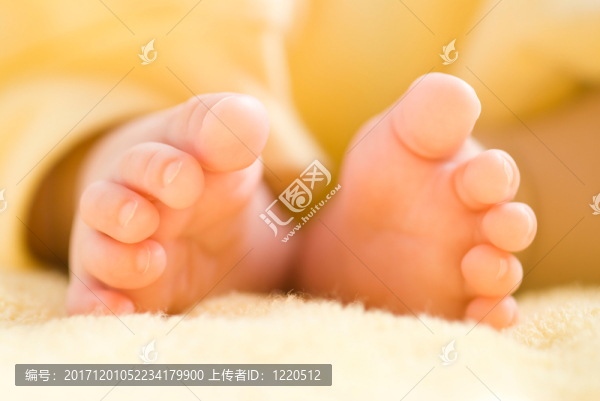 美麗的