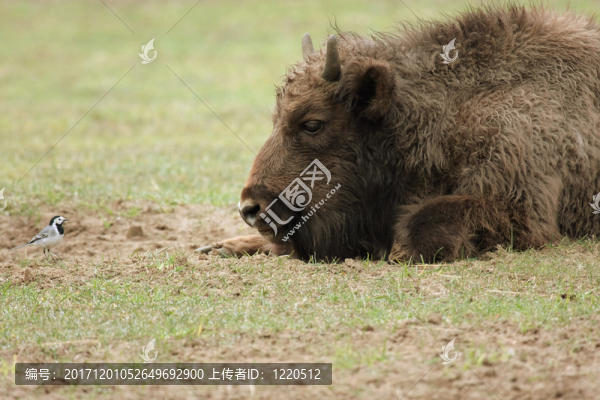 無(wú)名稱