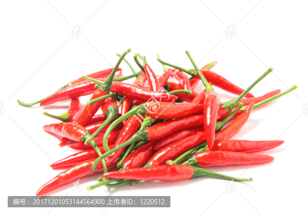 食物
