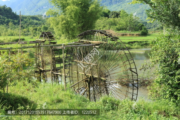 水稻梯田