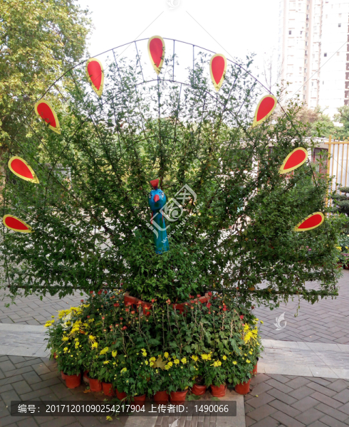 菊花展鳳凰造型